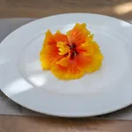 Contessa Caterina Apartamento